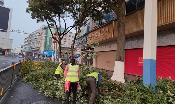 微信截图_20241212183718.png