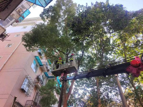 24749173.png 图片2_副本.png